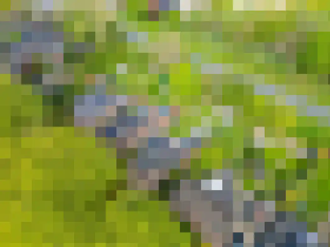 Burg. Gaarlandtlaan 7 Gasselternijveen thumbnail 39