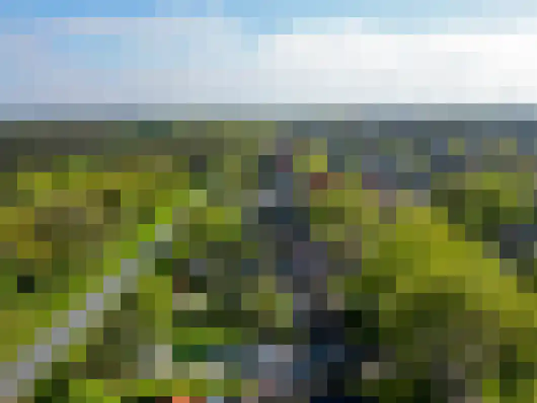 Burg. Gaarlandtlaan 7 Gasselternijveen thumbnail 41