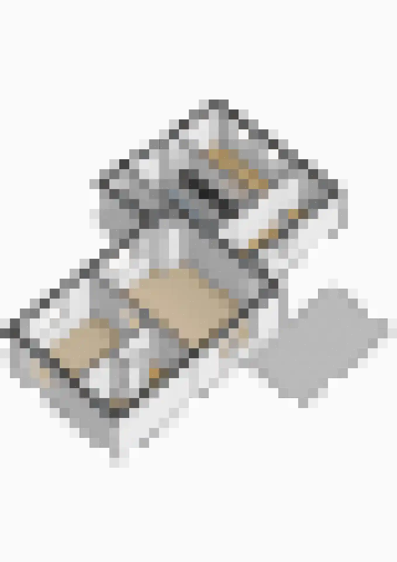 Burg. Gaarlandtlaan 7 Gasselternijveen thumbnail 43