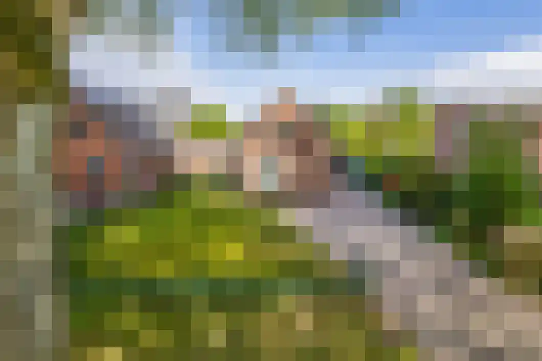 Burg. Gaarlandtlaan 7 Gasselternijveen thumbnail 6