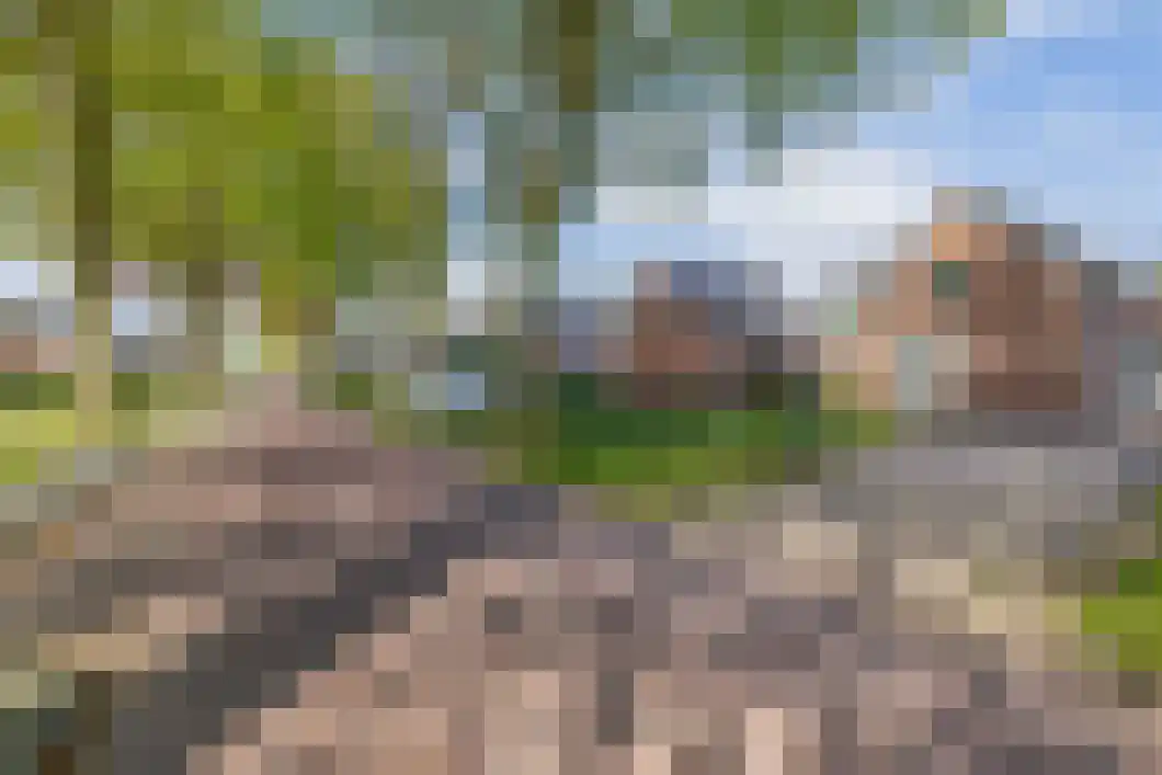 Burg. Gaarlandtlaan 7 Gasselternijveen thumbnail 7