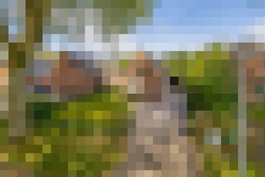 Burg. Gaarlandtlaan 7 Gasselternijveen thumbnail 8