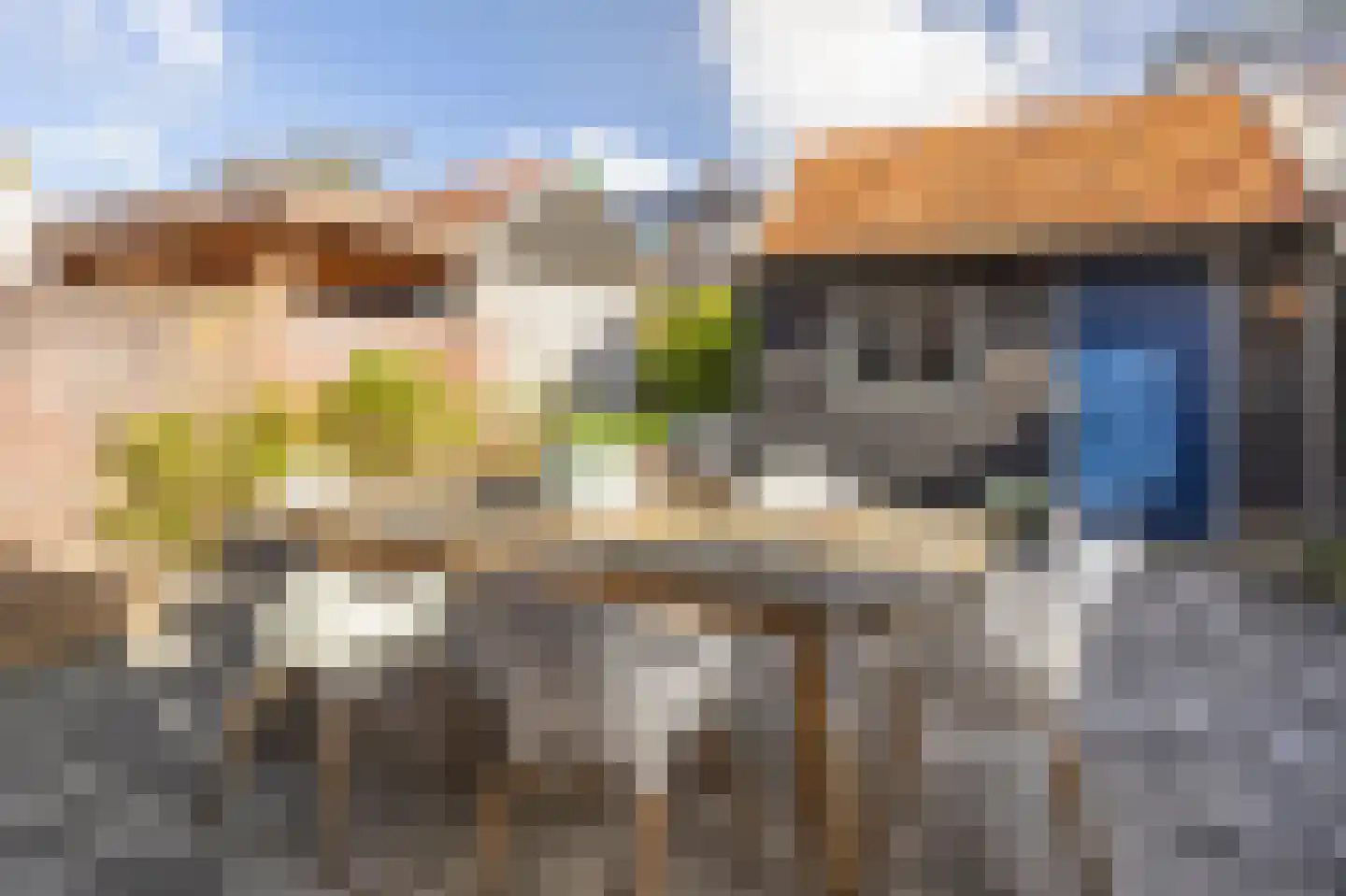 Burg. Gaarlandtstraat 25 Gorinchem thumbnail 14