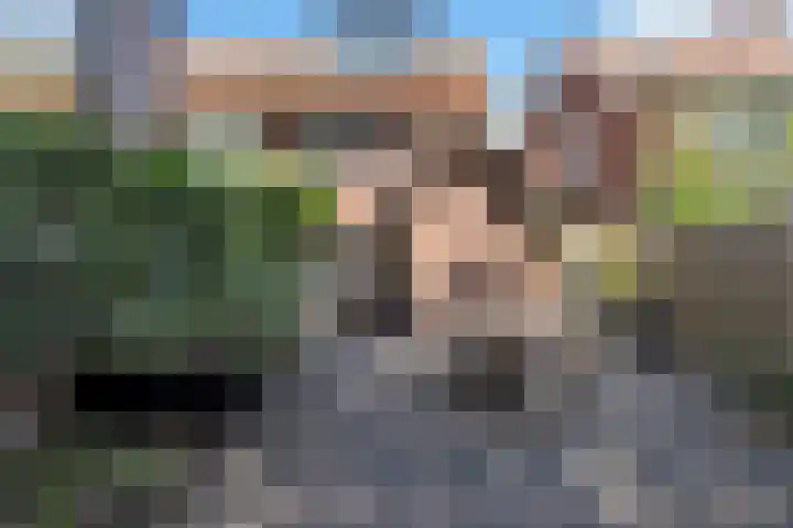 Burg. Gaarlandtstraat 34 Gorinchem thumbnail 16