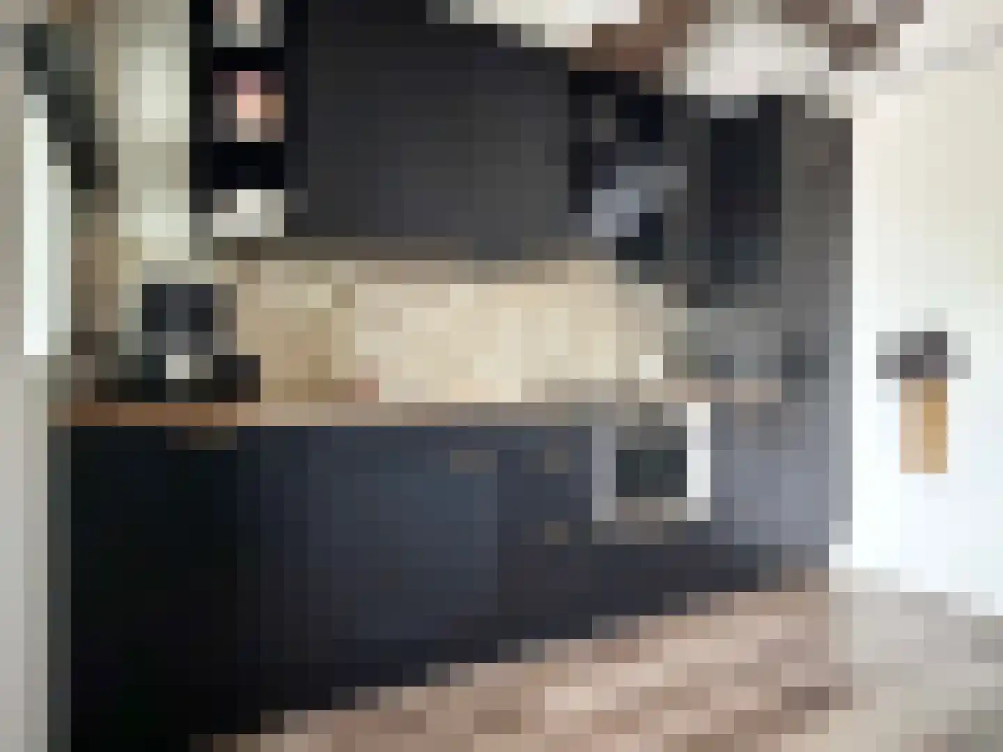 Burg Gautiersingel 21 Coevorden thumbnail 17