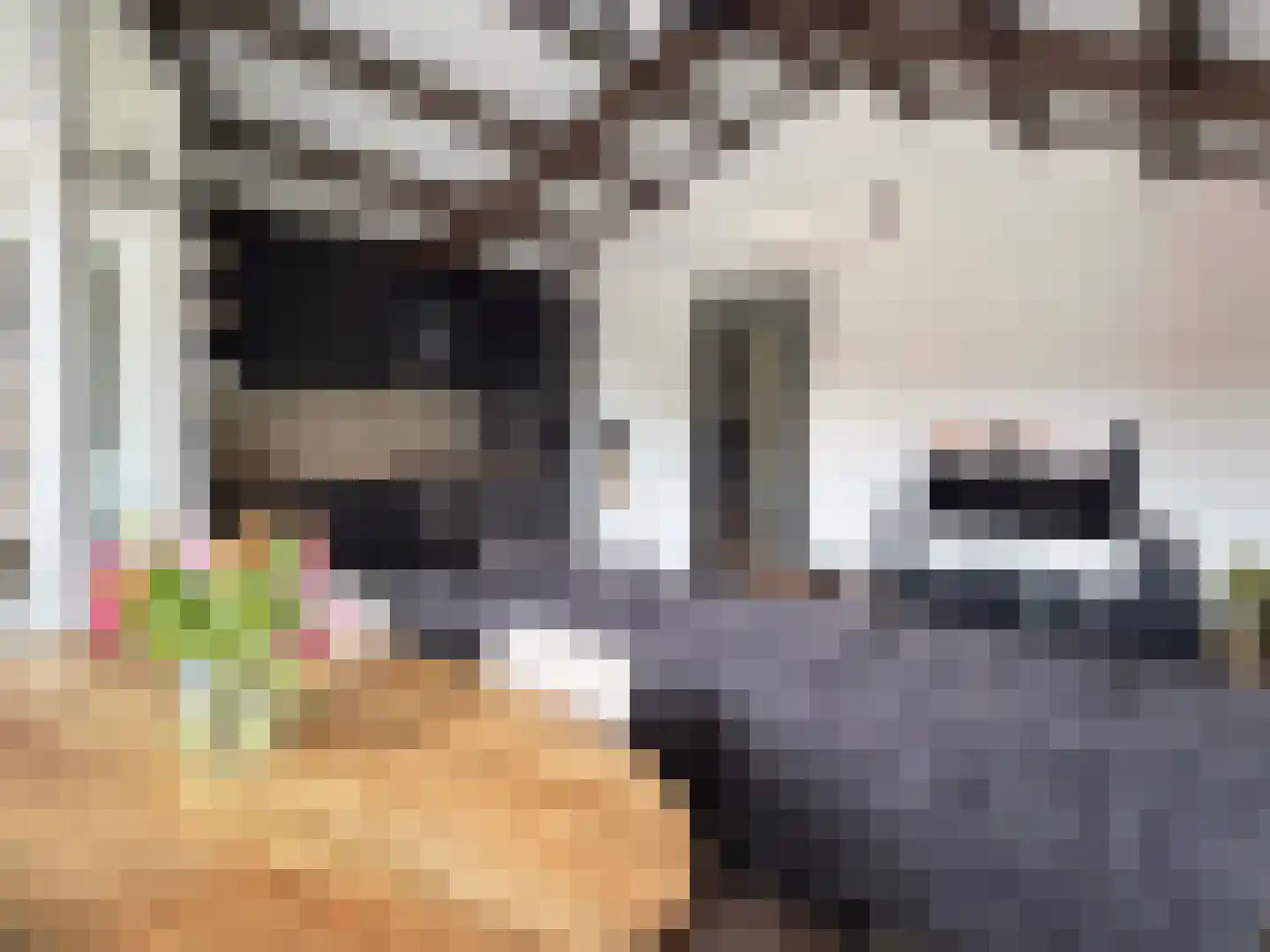 Burg Gautiersingel 21 Coevorden thumbnail 21