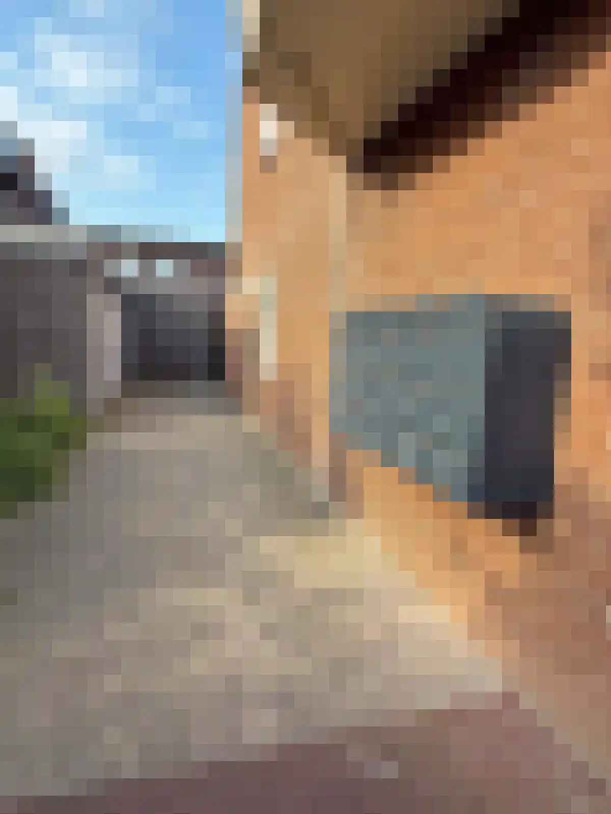 Burg Gautiersingel 21 Coevorden thumbnail 4
