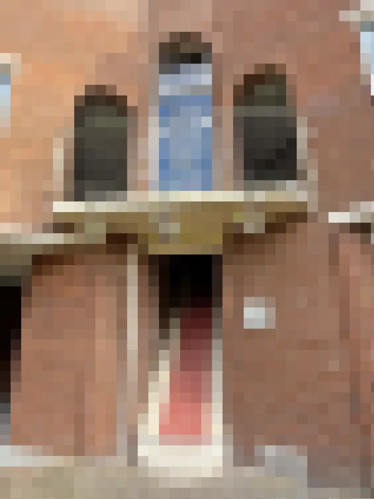 Burg Gautiersingel 21 Coevorden thumbnail 7