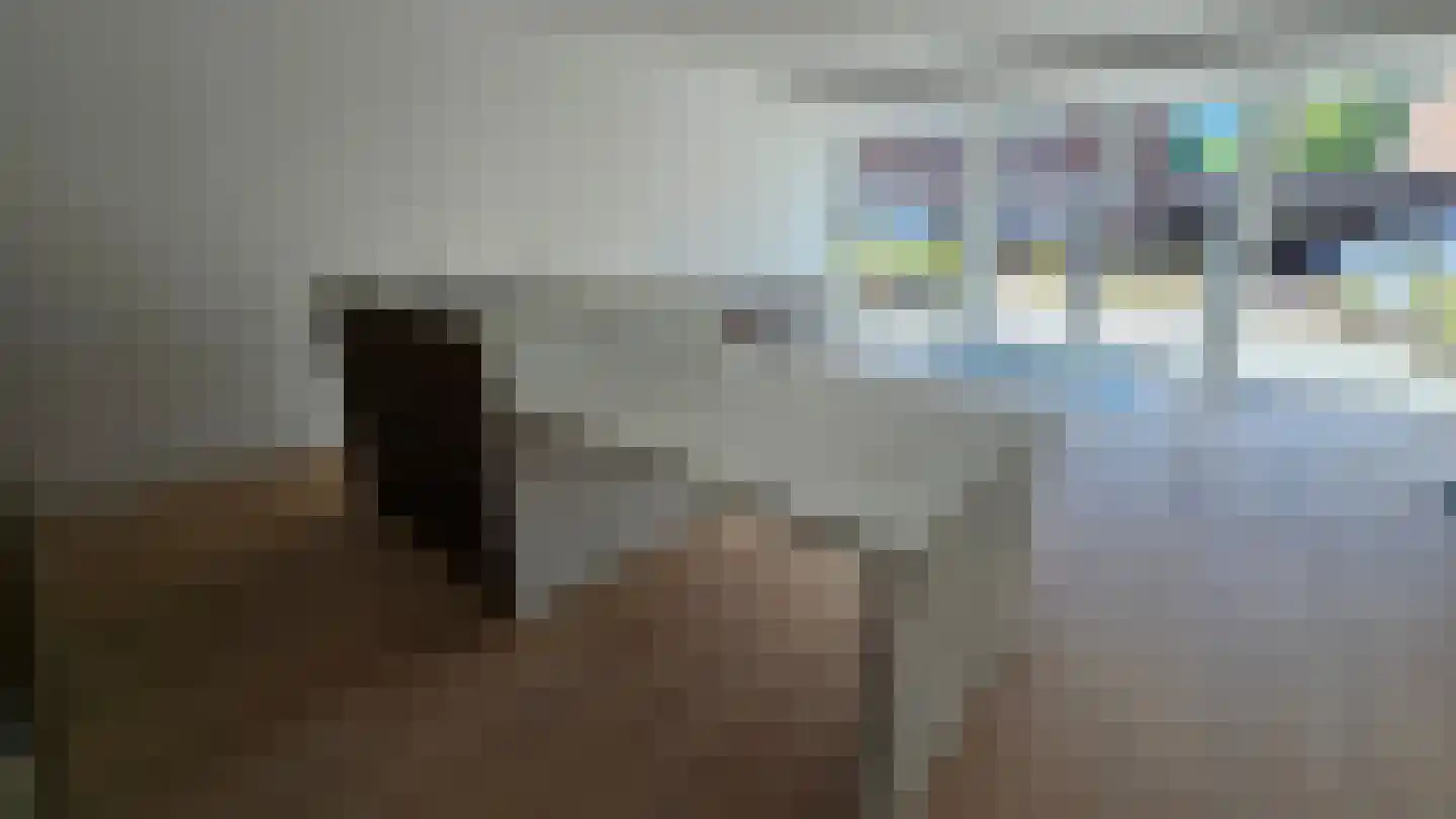 Burg Gautiersingel 49 Coevorden thumbnail 5