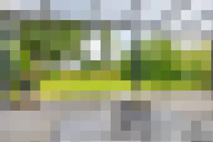 Burg Geerlingstraat 17 Usquert thumbnail 31
