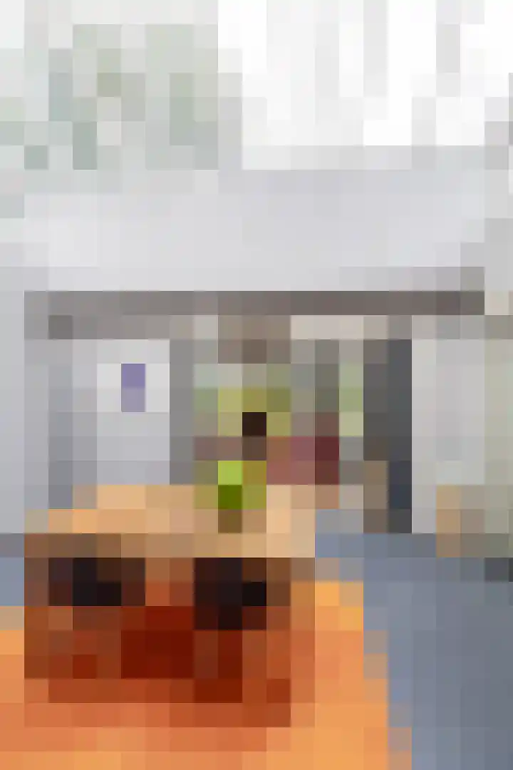 Burg Geerlingstraat 17 Usquert thumbnail 9