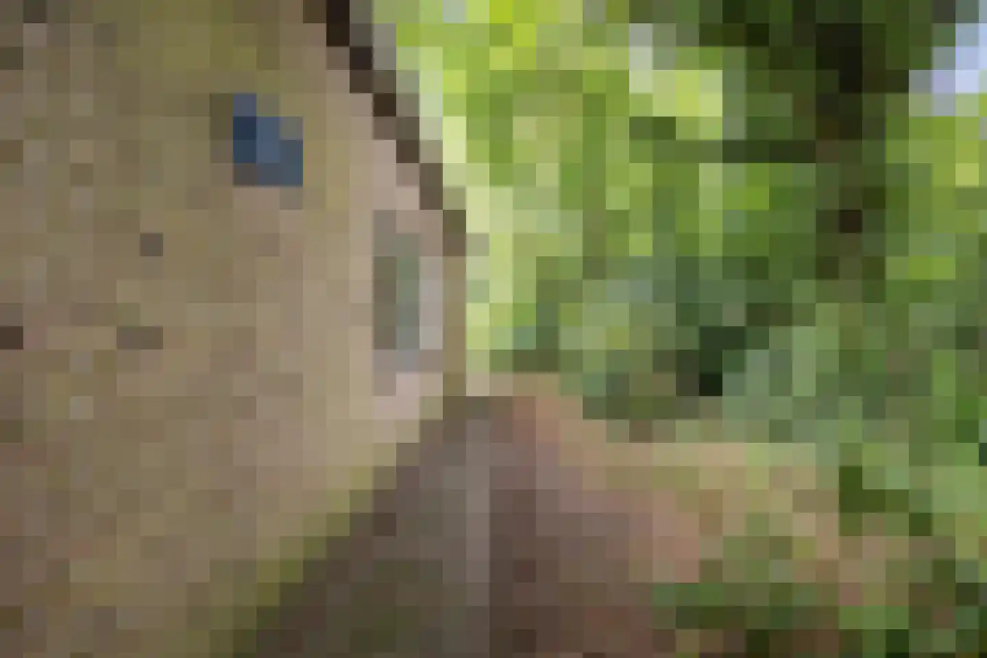 Burg Geldermanlaan 4 Zuidhorn thumbnail 30