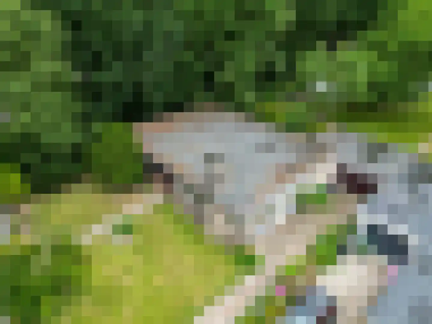 Burg Geldermanlaan 4 Zuidhorn thumbnail 33