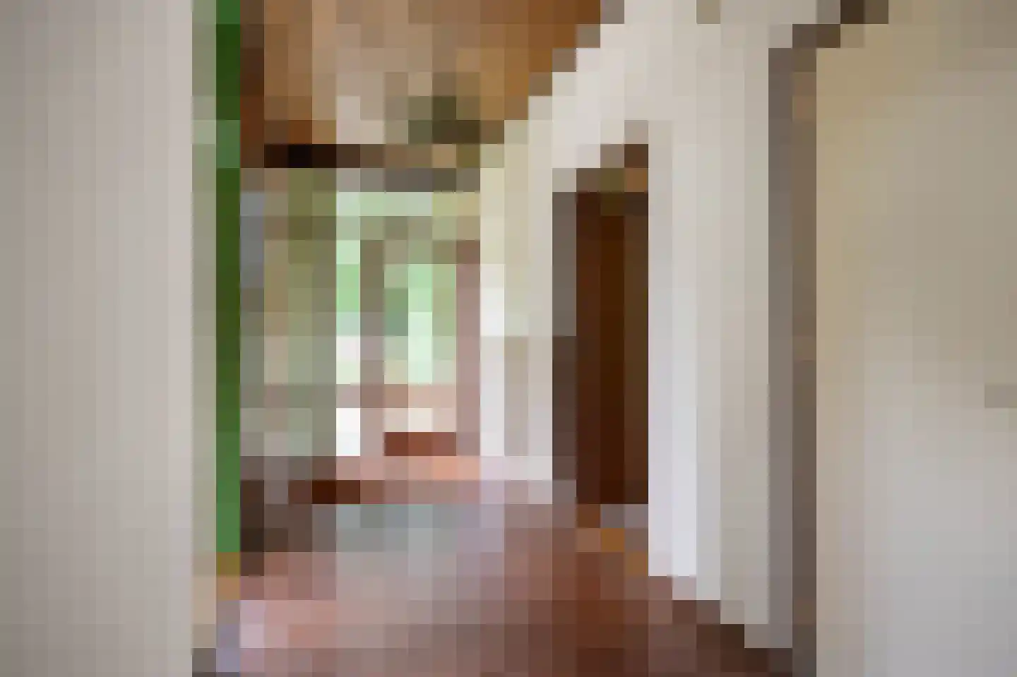 Burg Geldermanlaan 4 Zuidhorn thumbnail 7