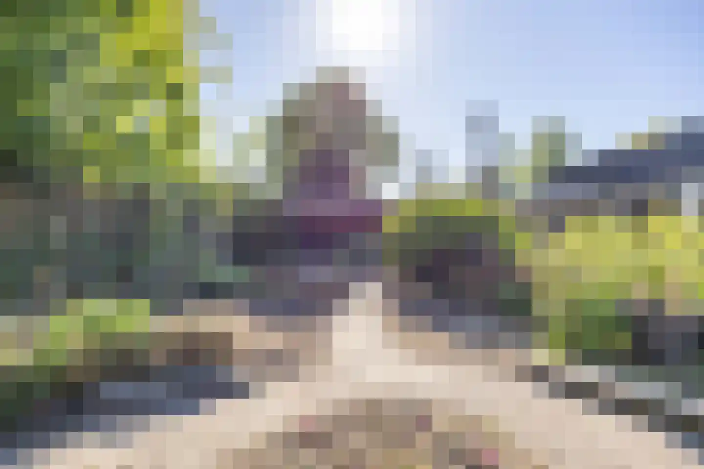 Burg Geldermanlaan 9 Zuidhorn thumbnail 43