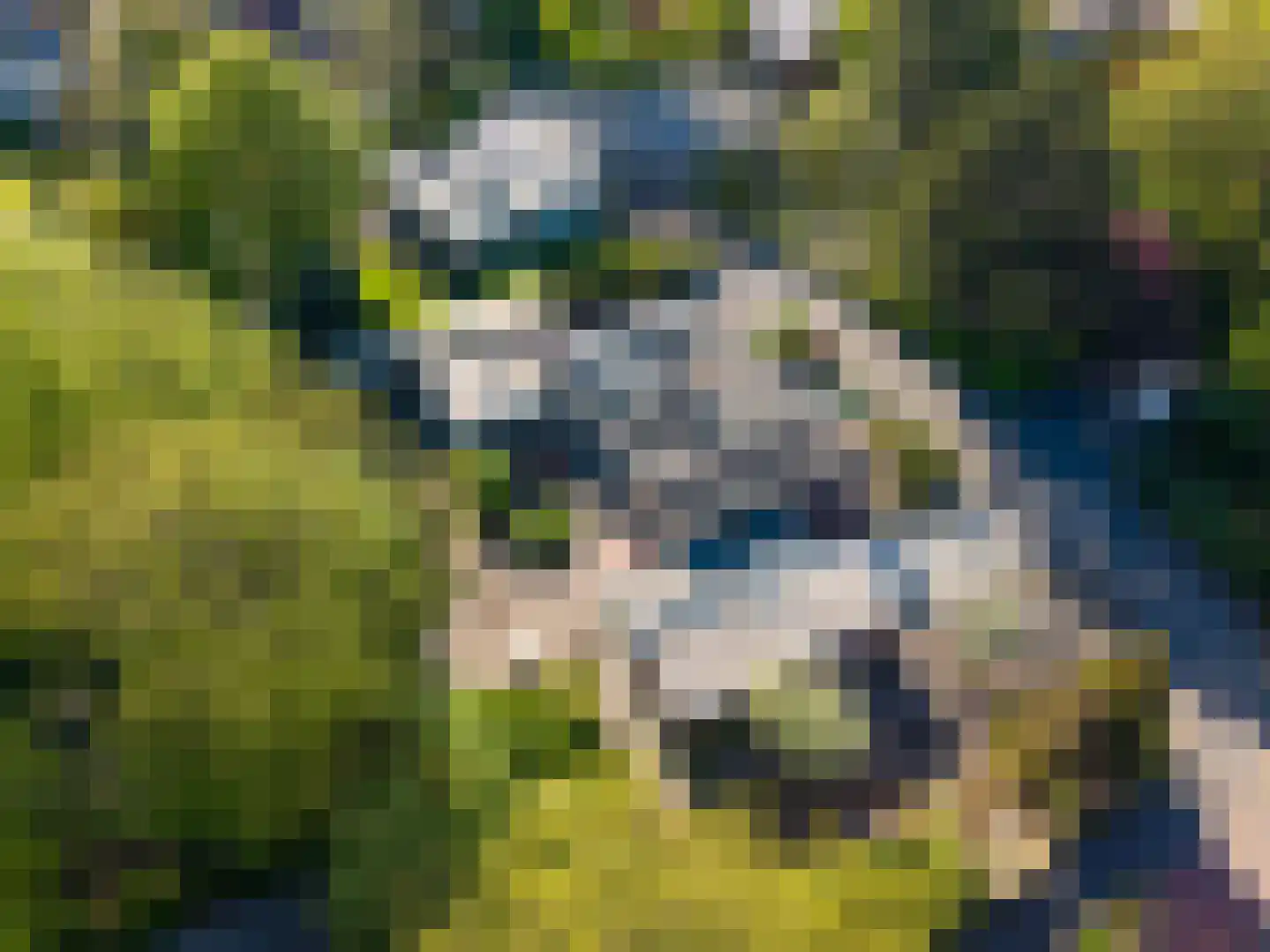 Burg Geldermanlaan 9 Zuidhorn thumbnail 46