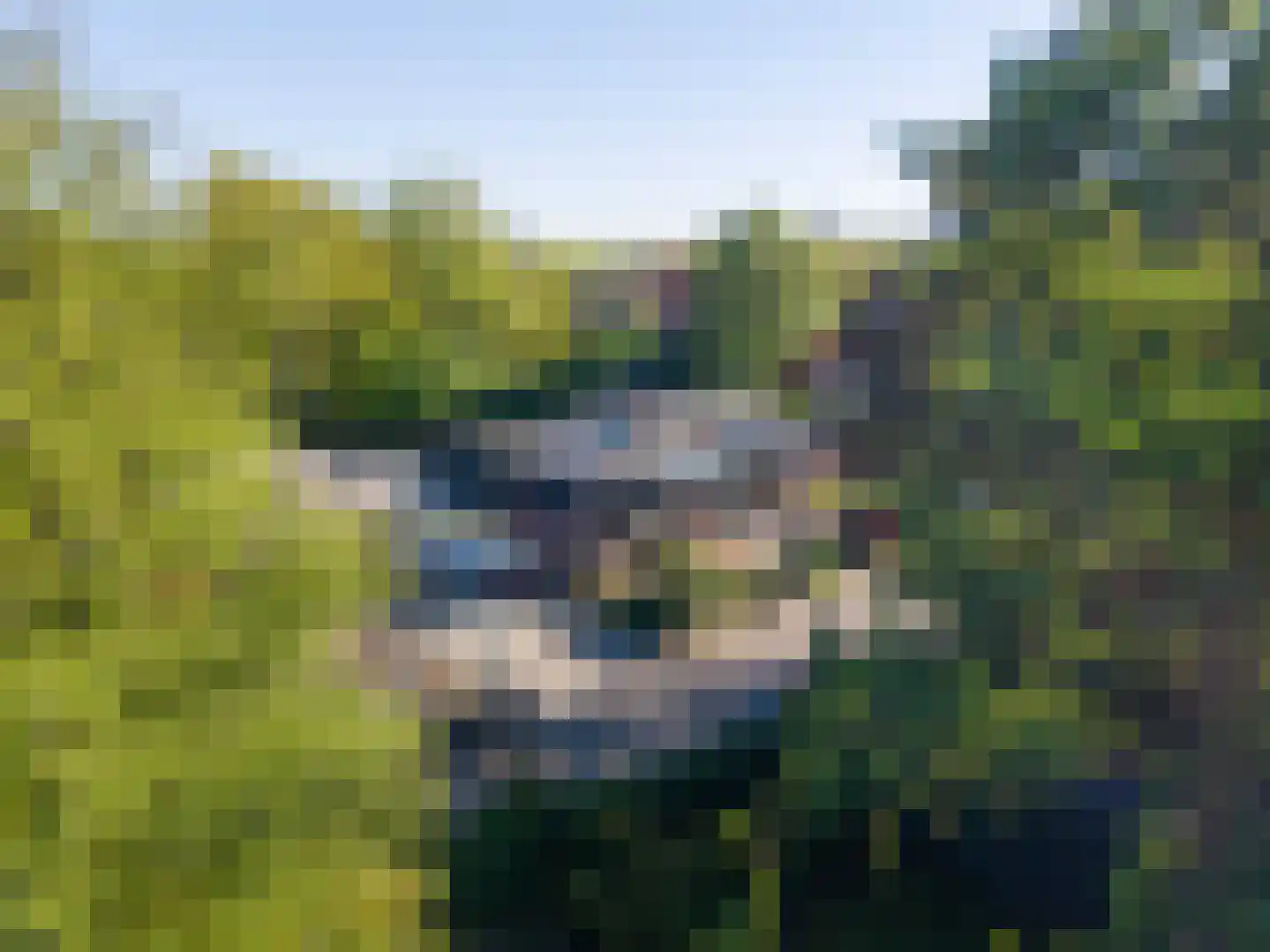 Burg Geldermanlaan 9 Zuidhorn thumbnail 49