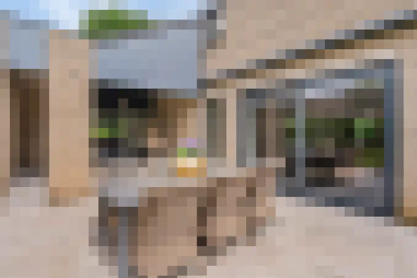 Burg. Geurtsstraat 3 Horst thumbnail 22