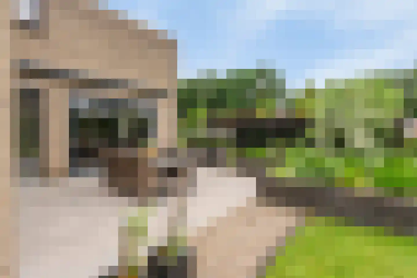Burg. Geurtsstraat 3 Horst thumbnail 23