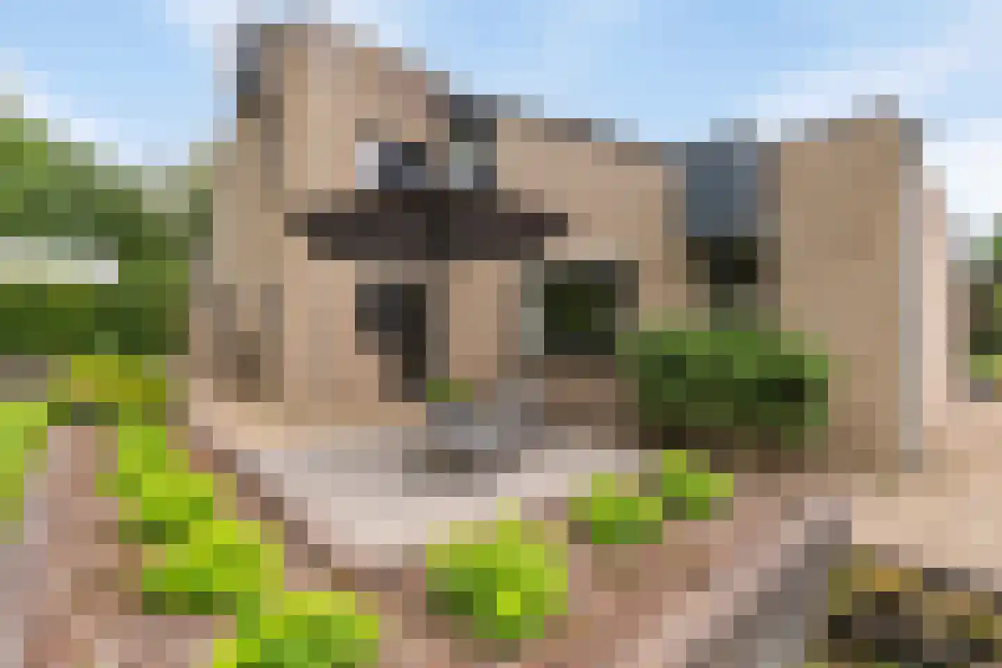 Burg. Geurtsstraat 3 Horst thumbnail 25
