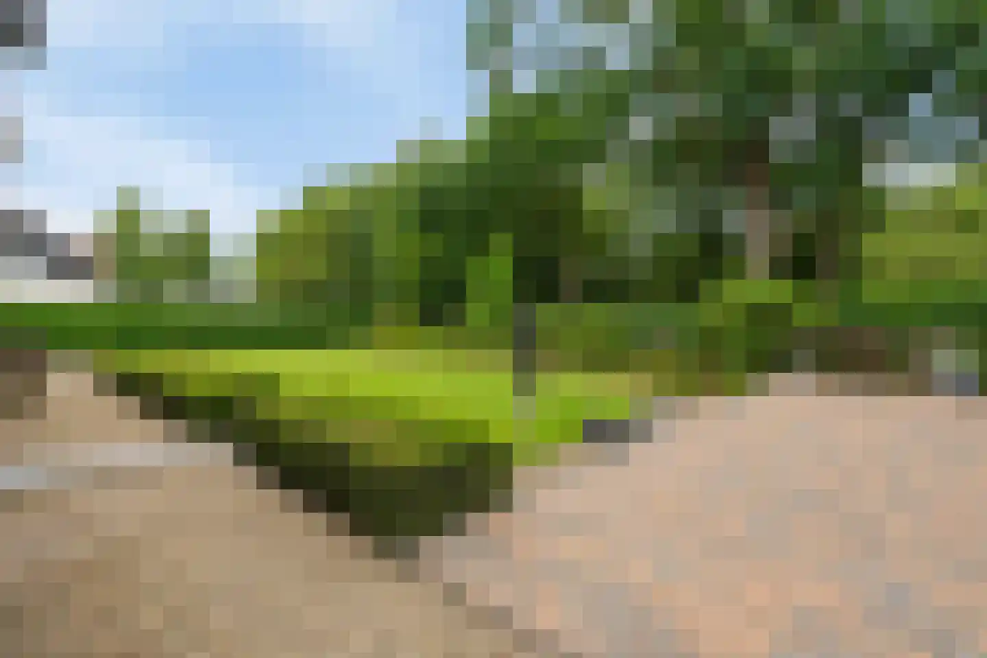 Burg. Geurtsstraat 3 Horst thumbnail 26