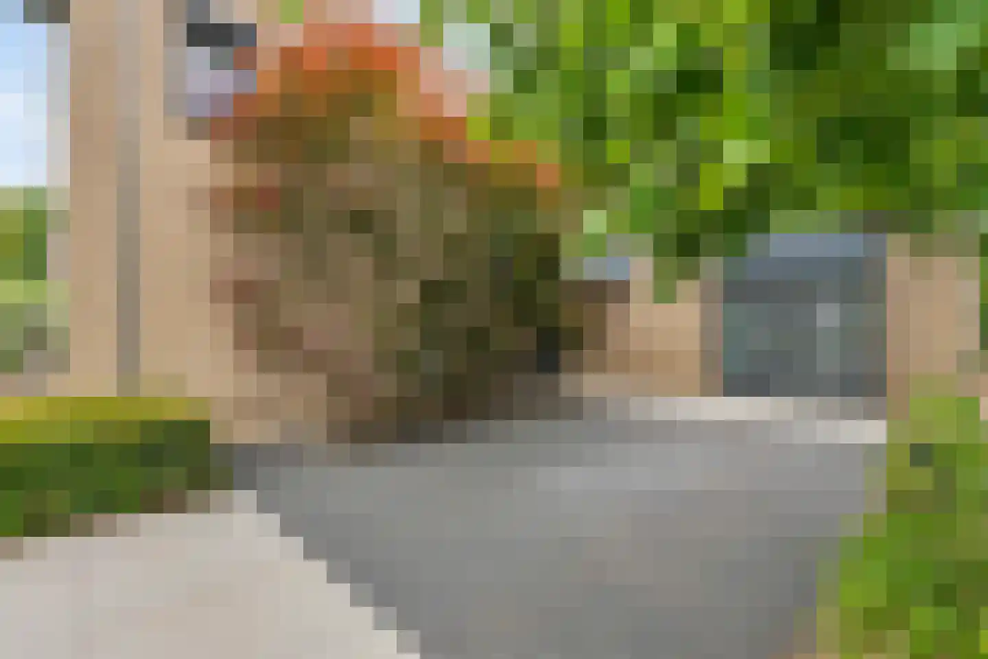 Burg. Geurtsstraat 3 Horst thumbnail 6