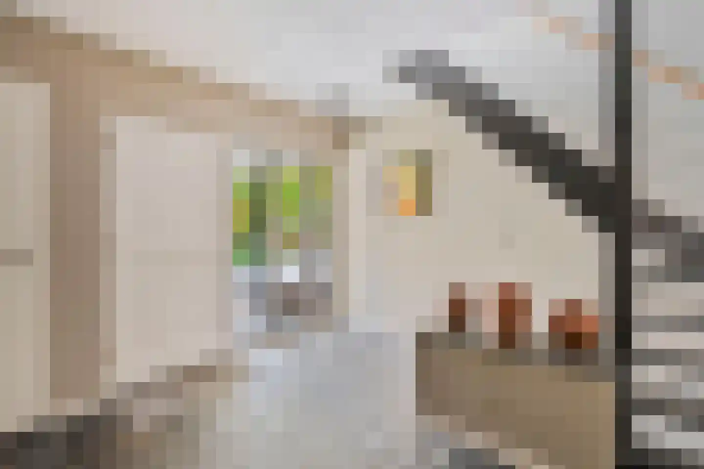 Burg. Geurtsstraat 3 Horst thumbnail 9
