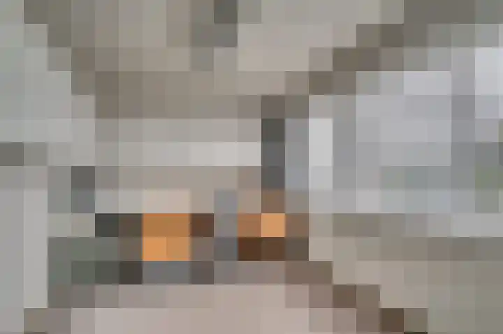 Burg Gielenstraat 20 Grubbenvorst thumbnail 19