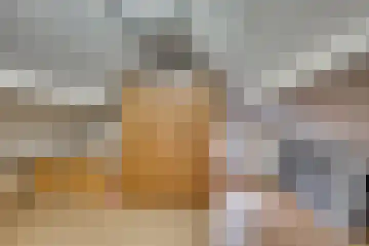 Burg Gielenstraat 20 Grubbenvorst thumbnail 24