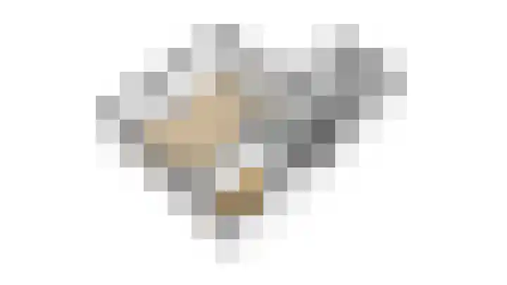 Burg Gielenstraat 20 Grubbenvorst thumbnail 35
