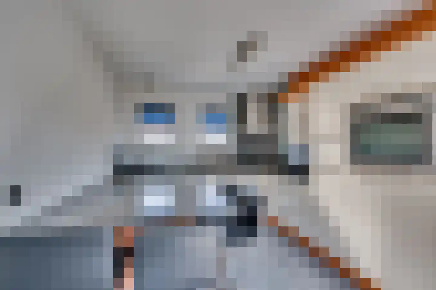 Burg Gielenstraat 26 Grubbenvorst thumbnail 10