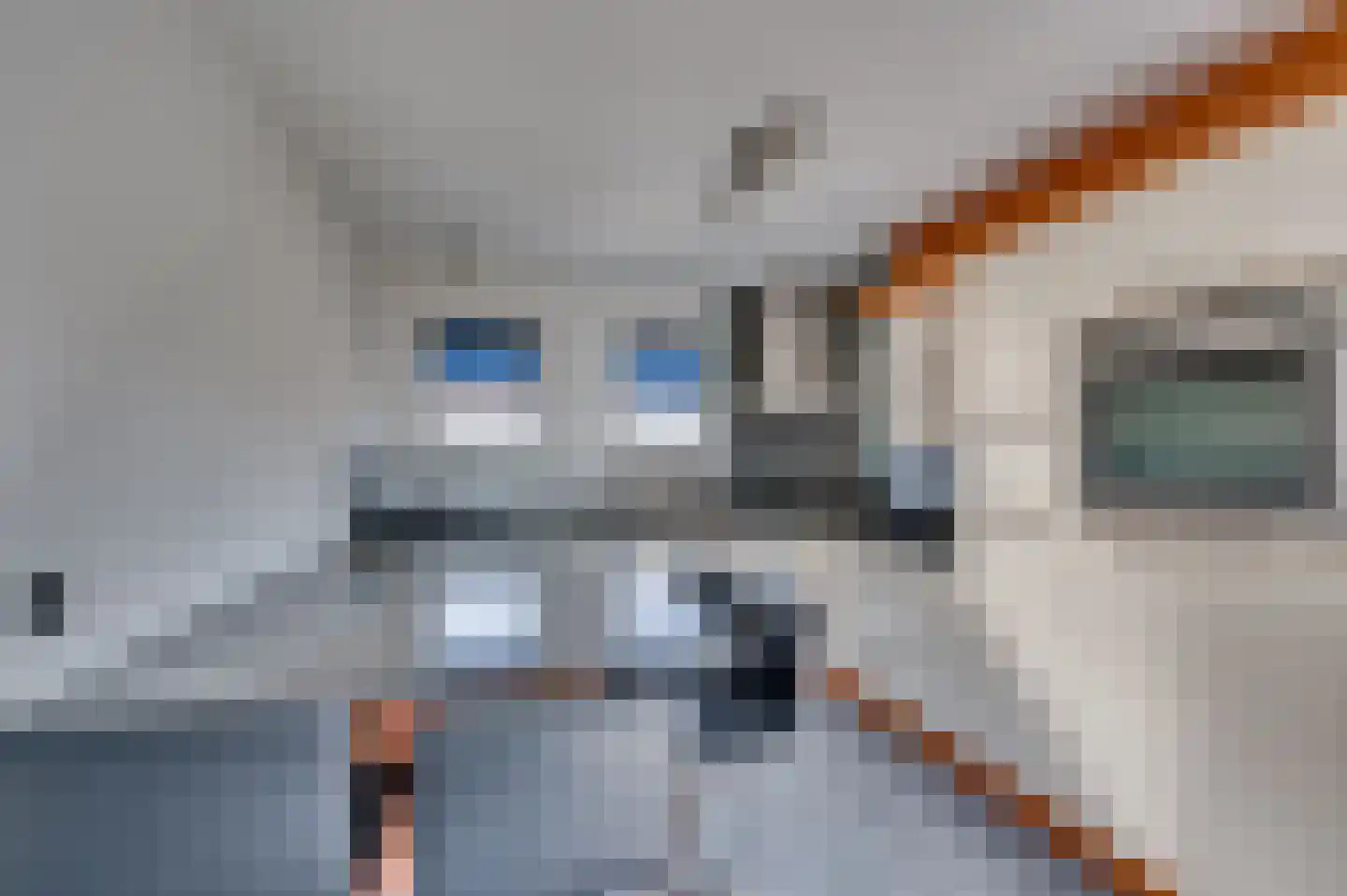 Burg Gielenstraat 26 Grubbenvorst thumbnail 10