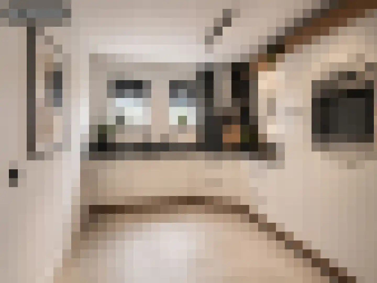 Burg Gielenstraat 26 Grubbenvorst thumbnail 11