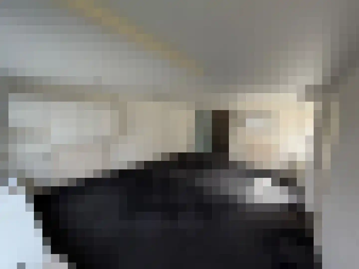 Burg Gielenstraat 26 Grubbenvorst thumbnail 14