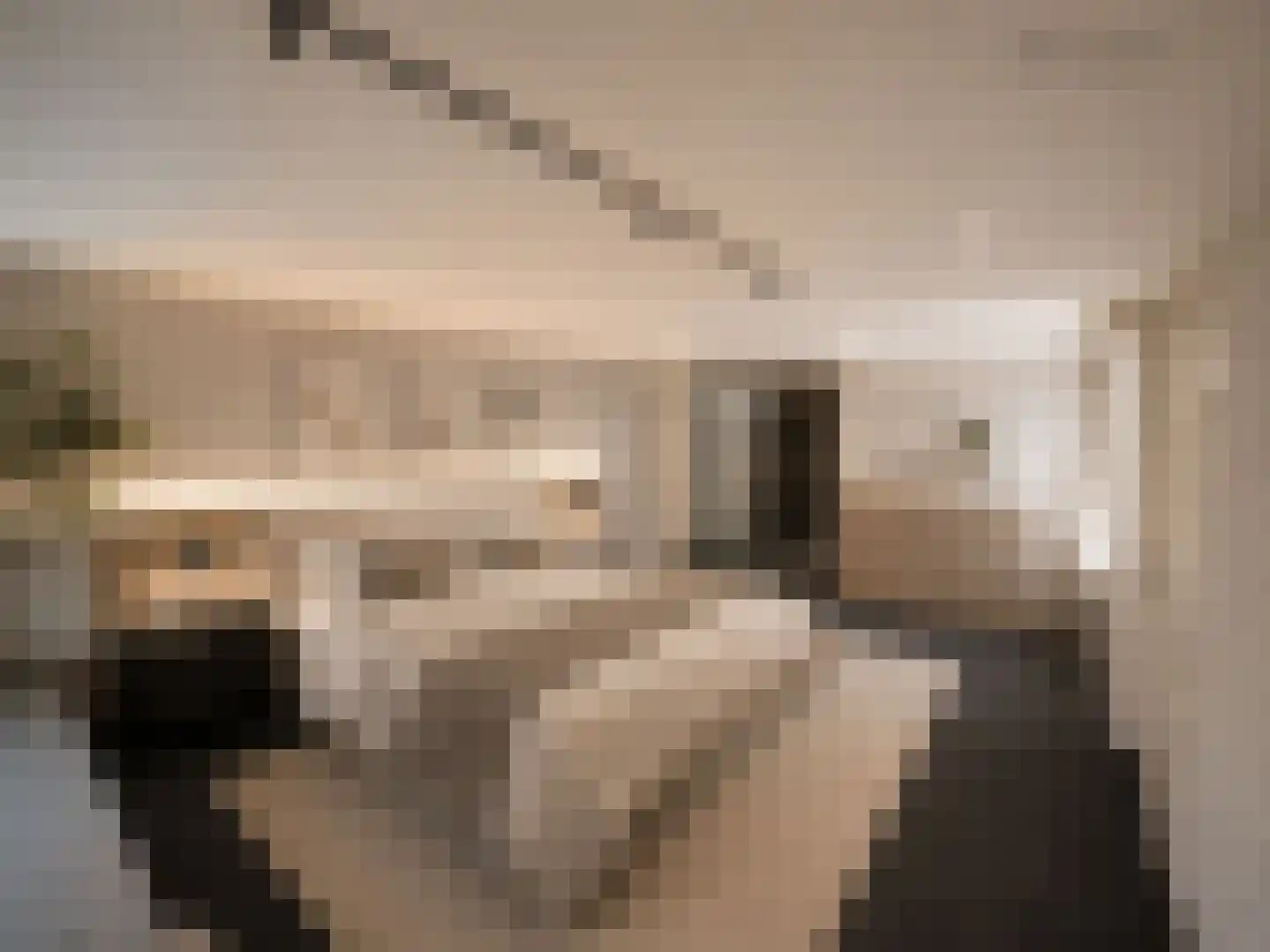Burg Gielenstraat 26 Grubbenvorst thumbnail 15