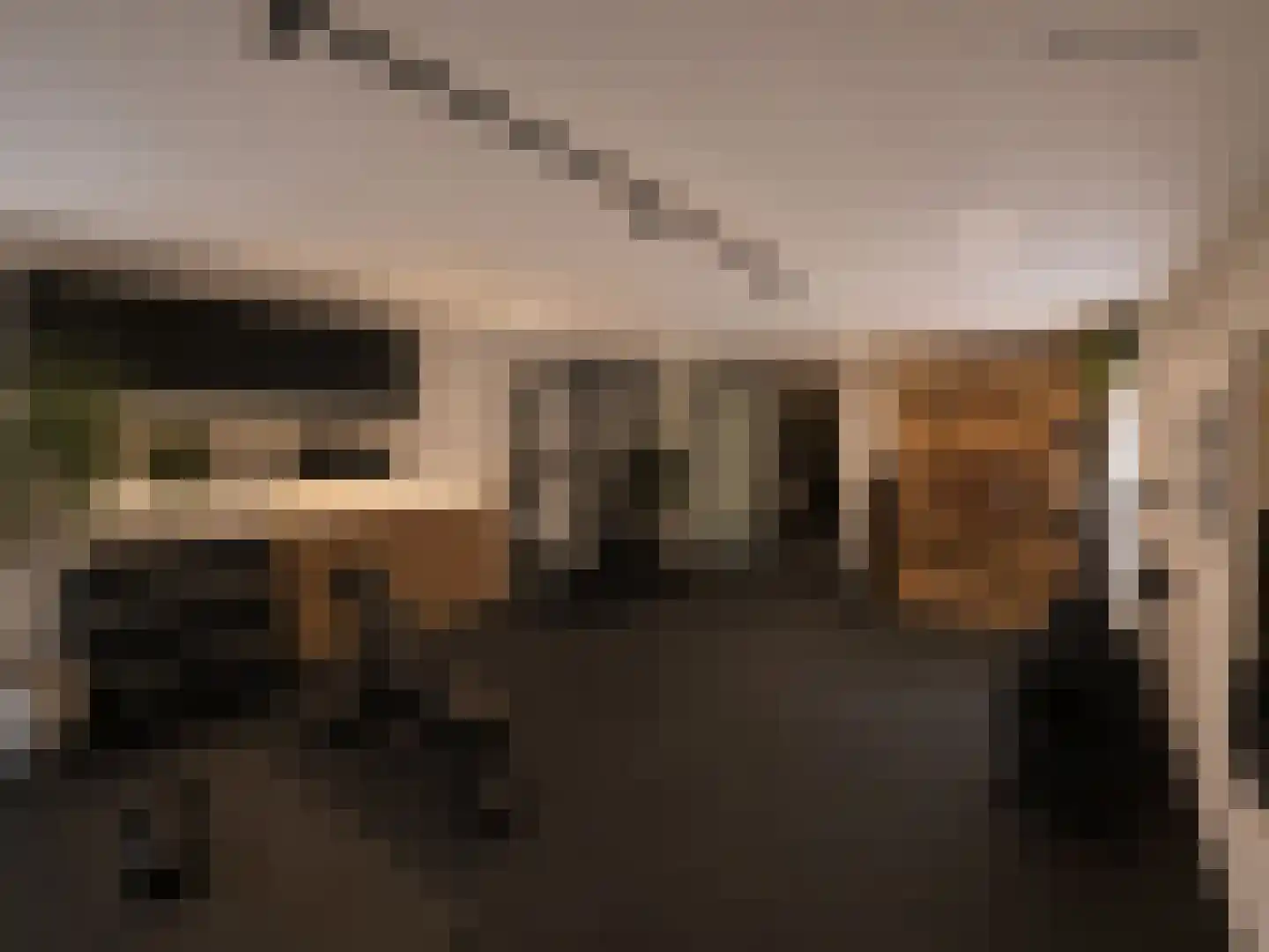 Burg Gielenstraat 26 Grubbenvorst thumbnail 16