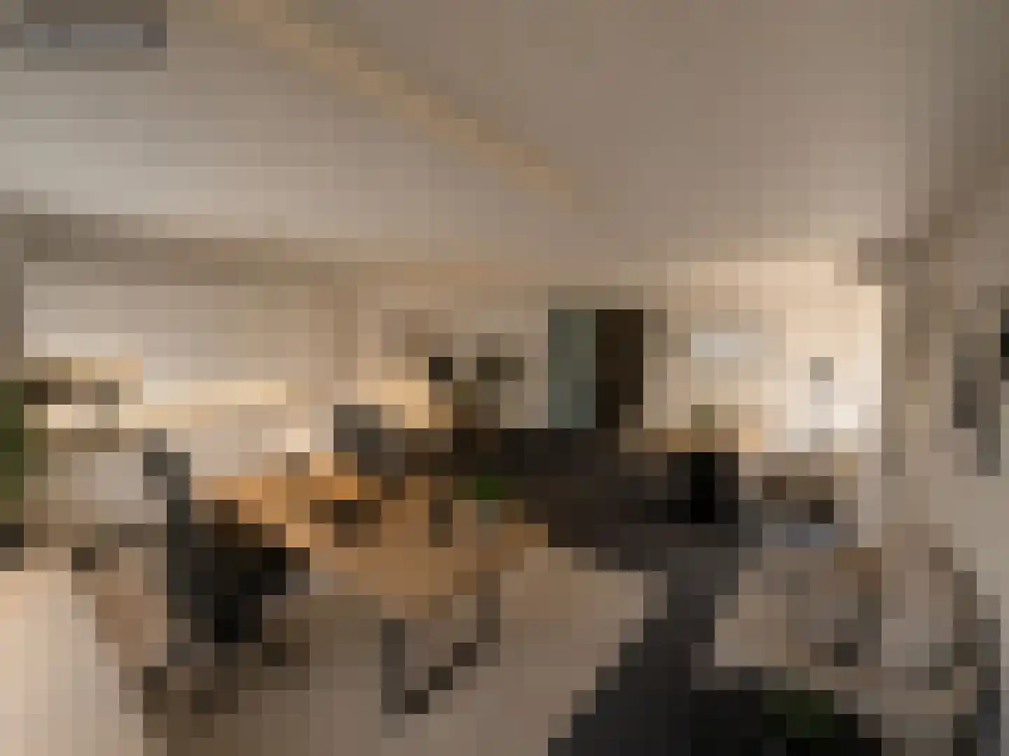 Burg Gielenstraat 26 Grubbenvorst thumbnail 17