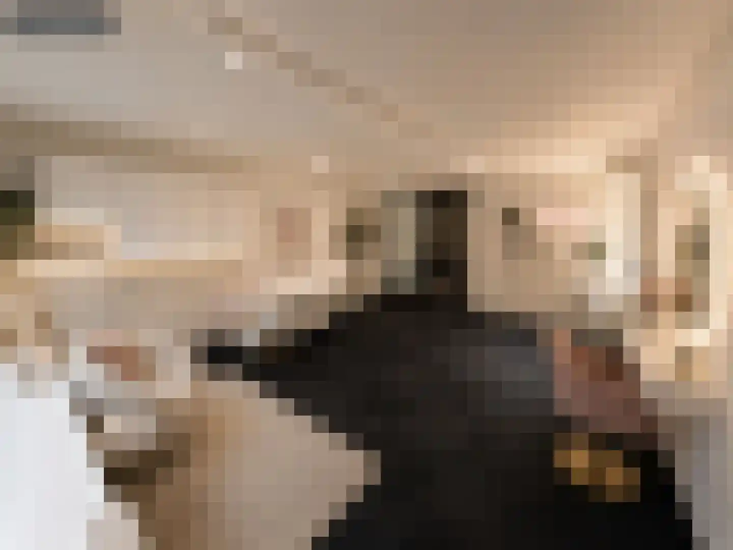 Burg Gielenstraat 26 Grubbenvorst thumbnail 18