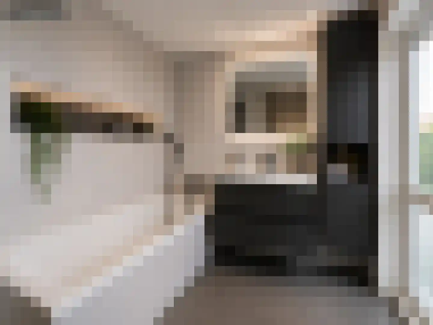 Burg Gielenstraat 26 Grubbenvorst thumbnail 28