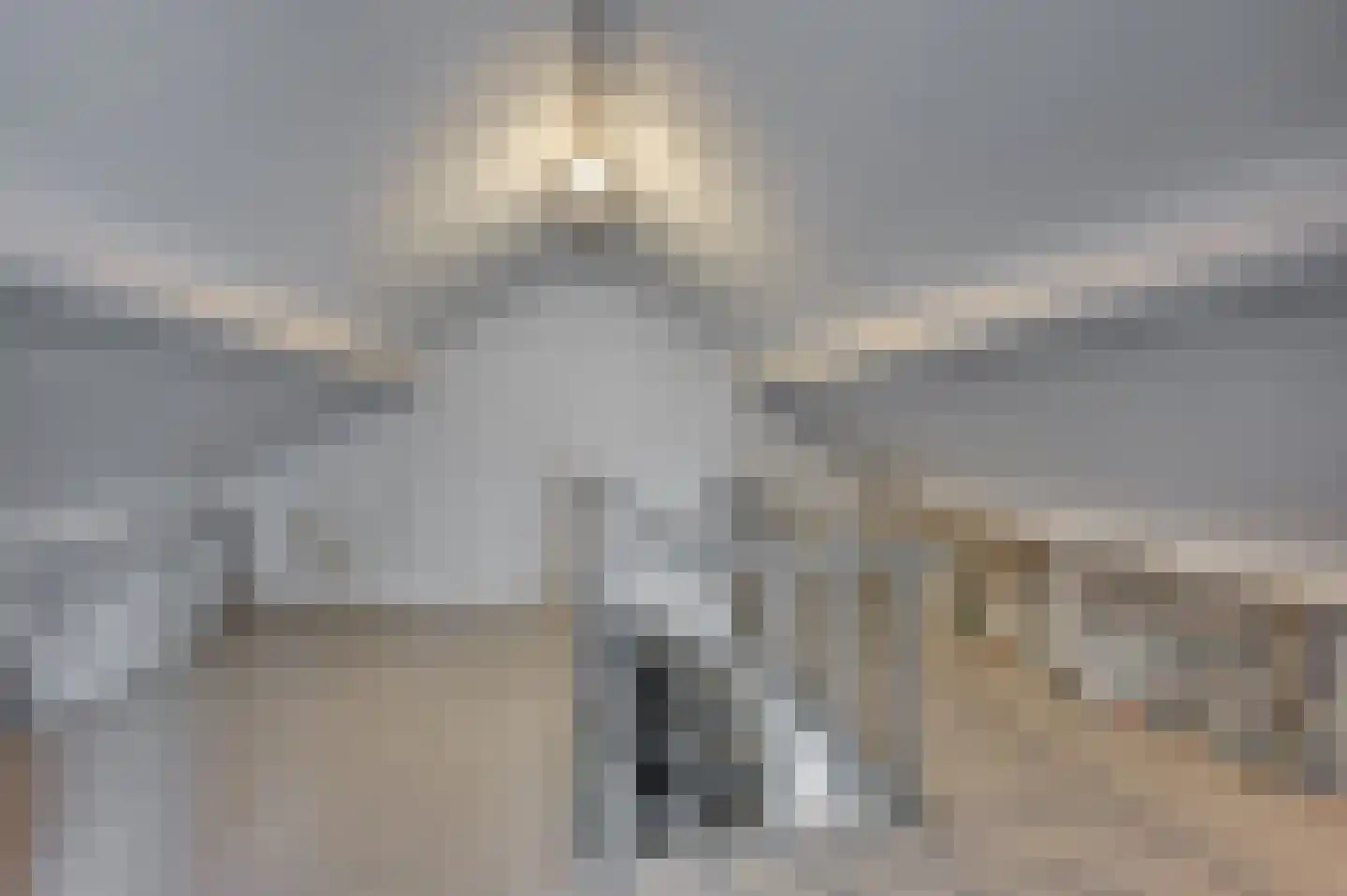 Burg Gielenstraat 26 Grubbenvorst thumbnail 28
