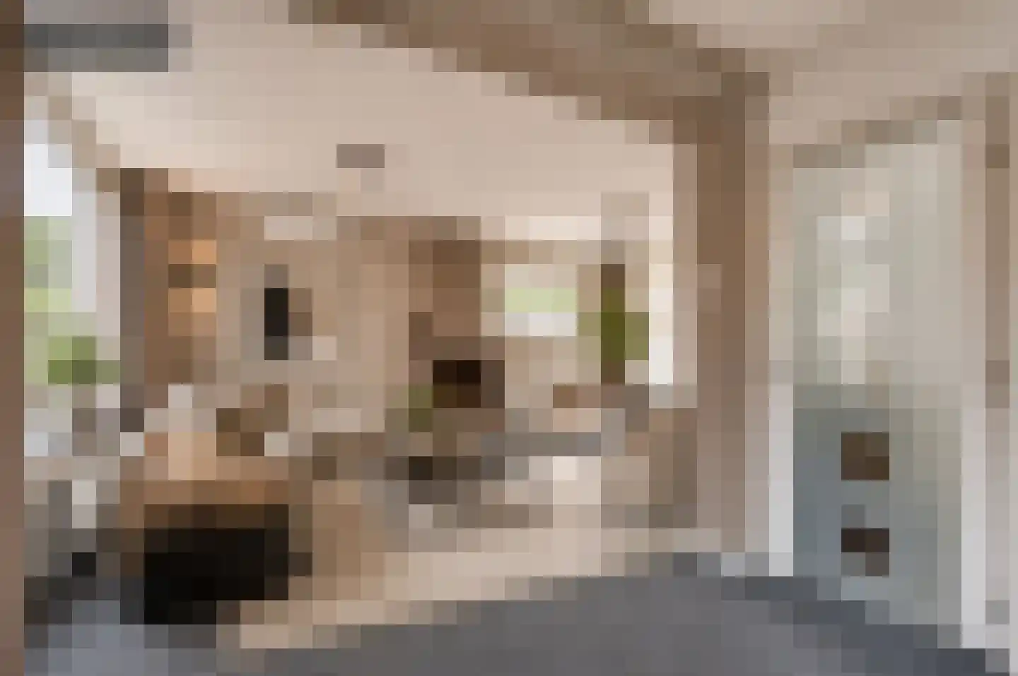 Burg Gielenstraat 26 Grubbenvorst thumbnail 5