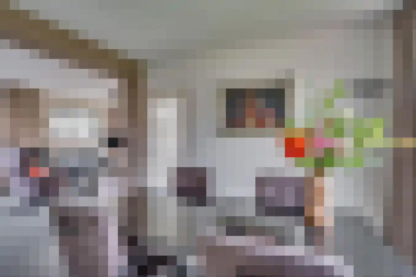 Burg Gielenstraat 26 Grubbenvorst thumbnail 6