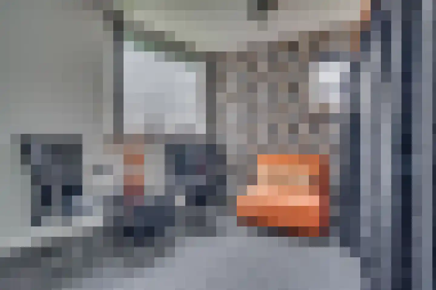 Burg Gielenstraat 26 Grubbenvorst thumbnail 8