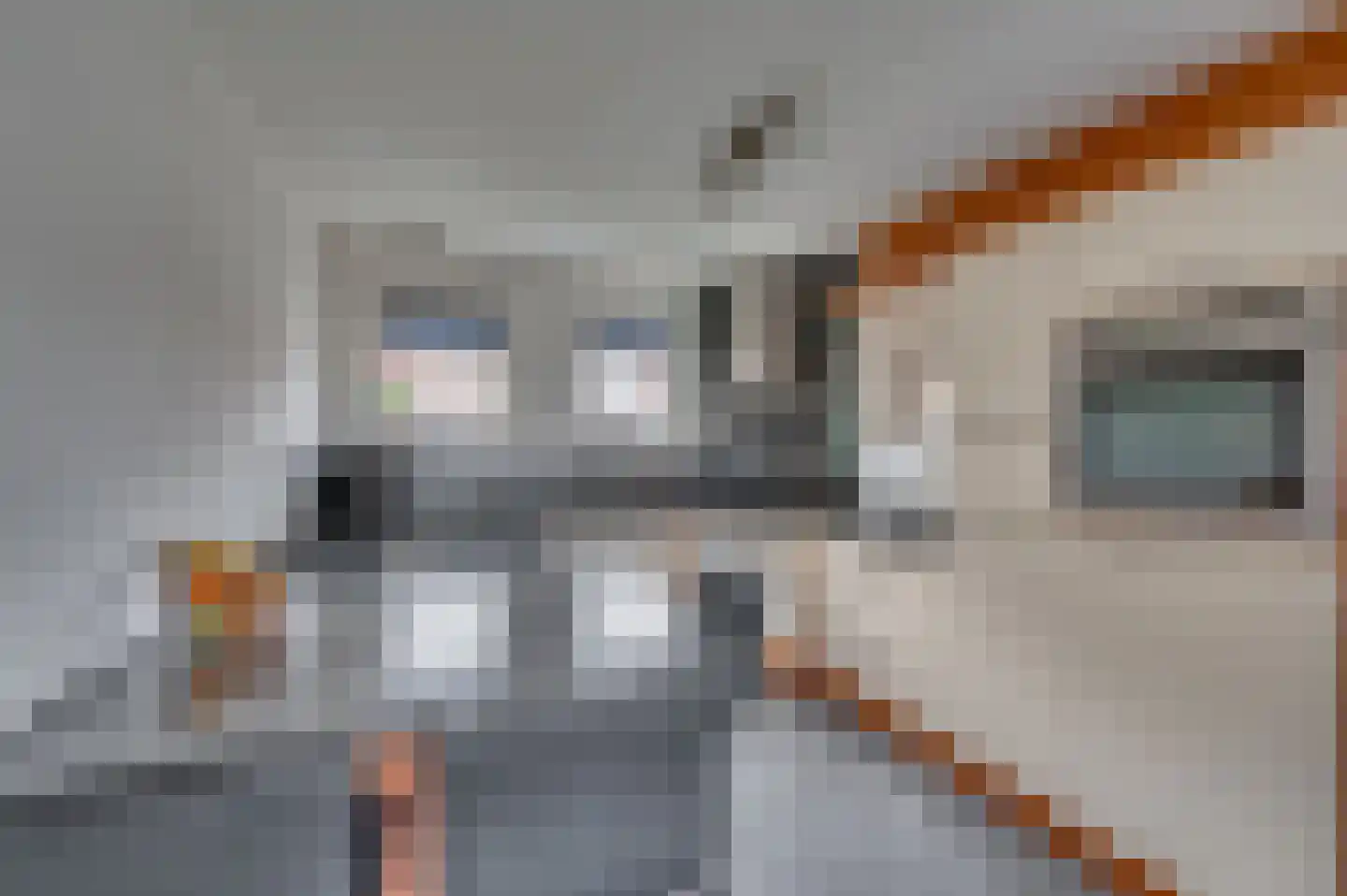 Burg Gielenstraat 26 Grubbenvorst thumbnail 9