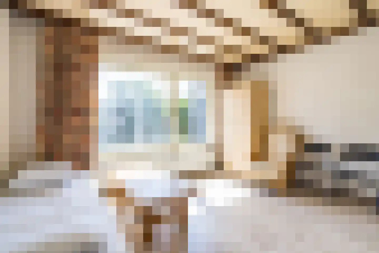 Burg. Greijmansstraat 49 Nederweert thumbnail 10