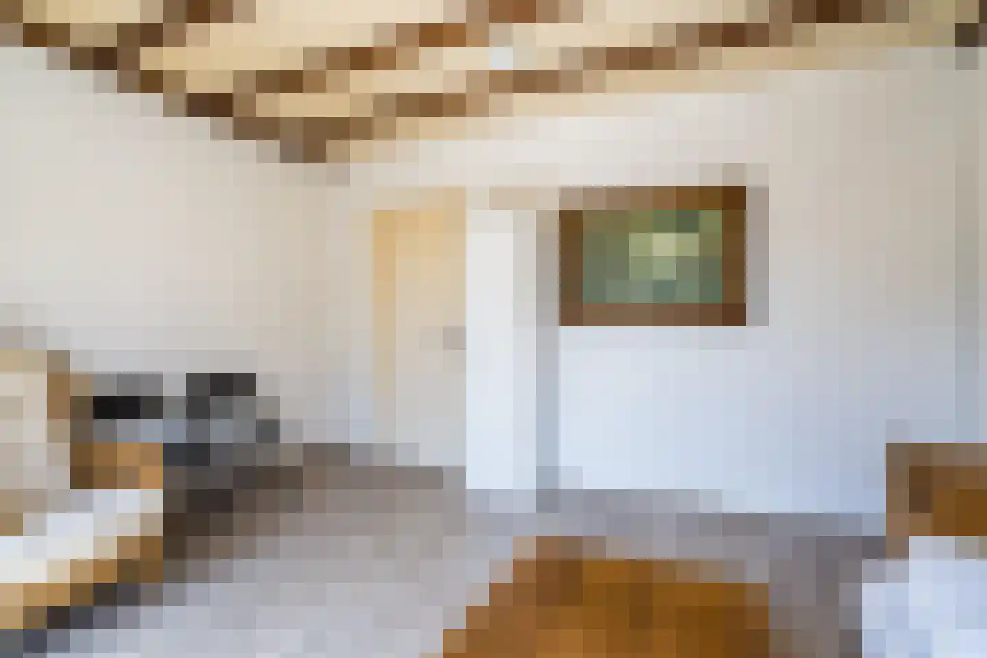 Burg. Greijmansstraat 49 Nederweert thumbnail 11