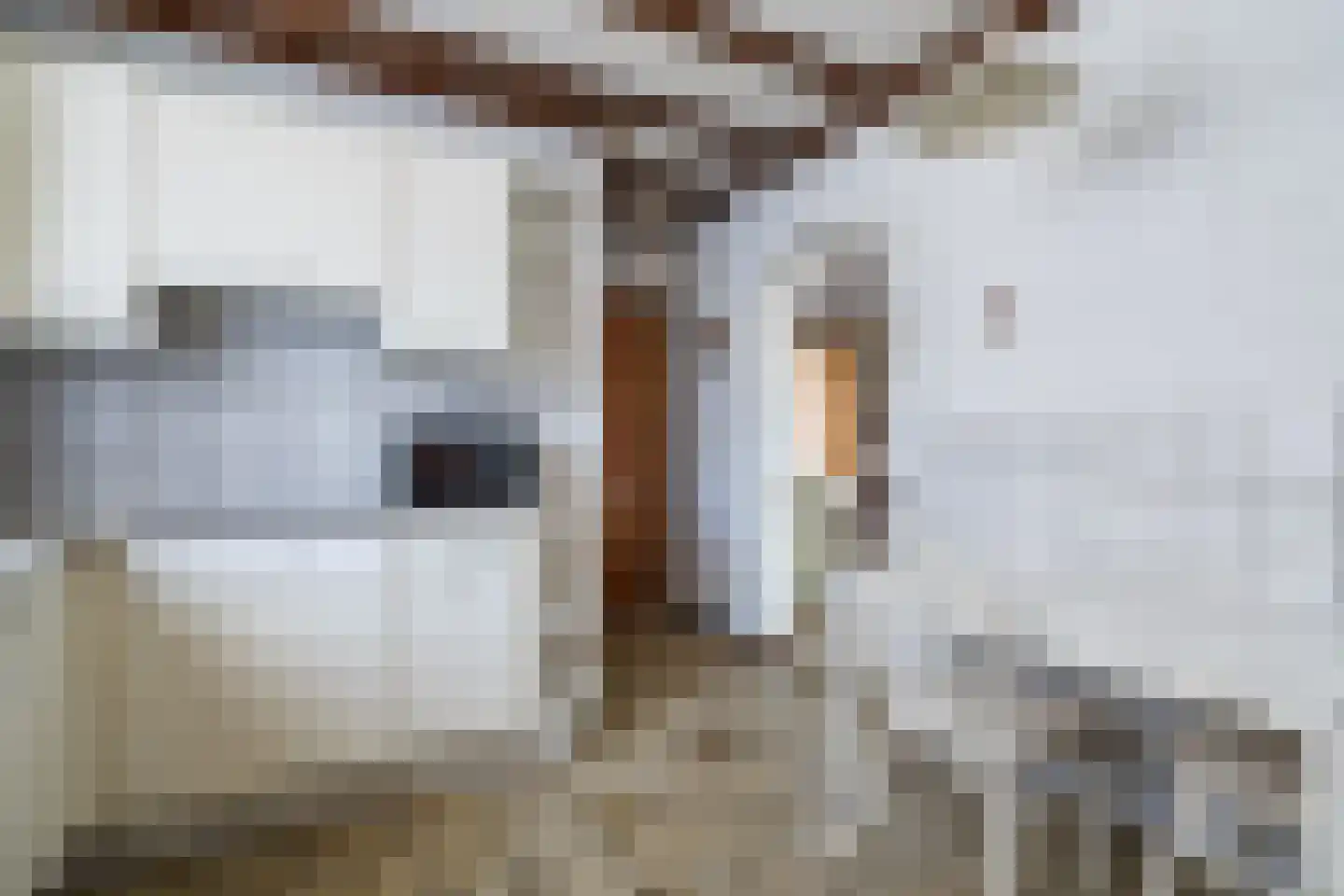 Burg. Greijmansstraat 49 Nederweert thumbnail 13