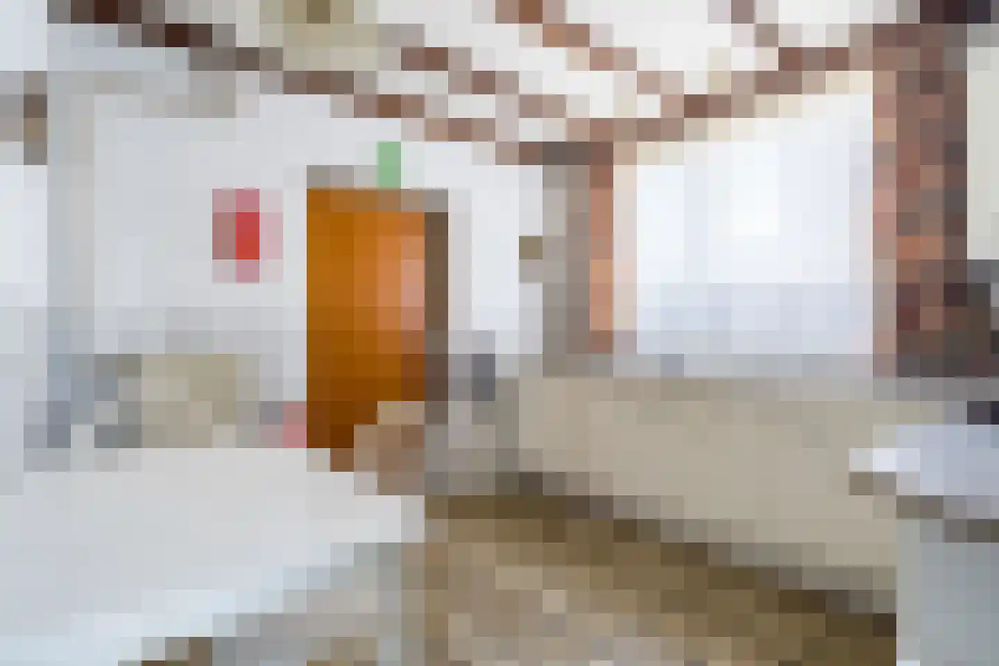 Burg. Greijmansstraat 49 Nederweert thumbnail 14