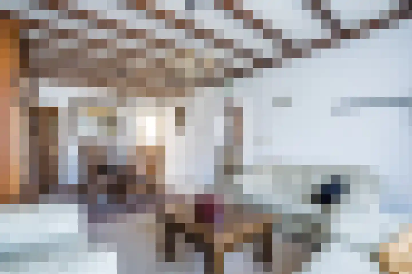 Burg. Greijmansstraat 49 Nederweert thumbnail 5