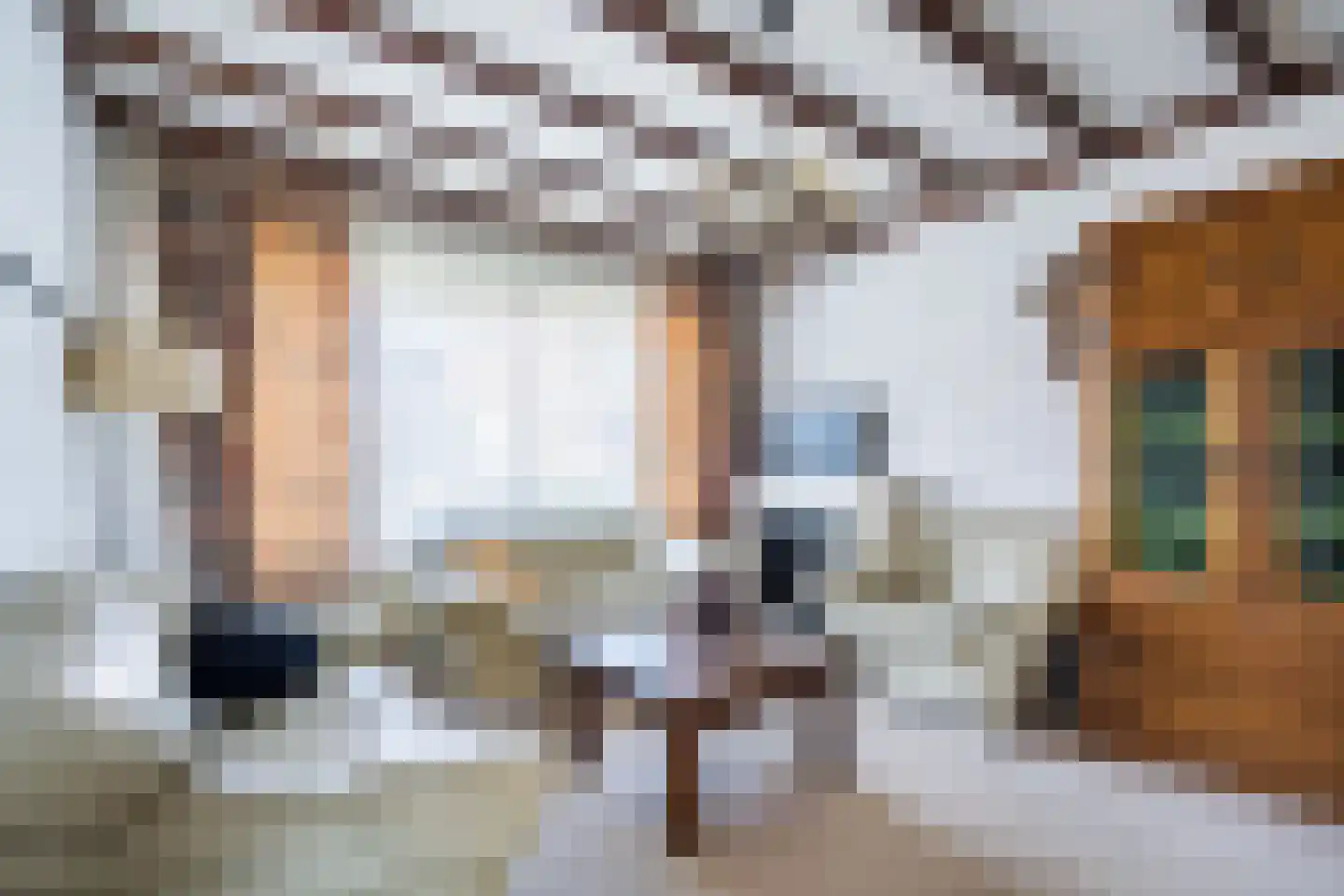 Burg. Greijmansstraat 49 Nederweert thumbnail 6